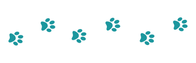 Imagem ilustrativa de patas de cachorro