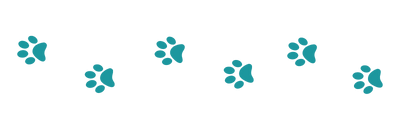 Imagem ilustrativa de patas de cachorro