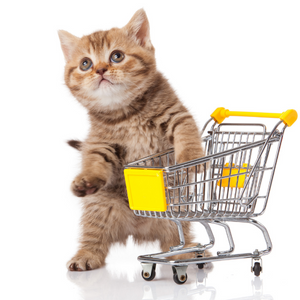 Imagem de um gato relacionada ao serviço de Pet Shop Txai Veterinária